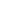 icons8 zoom in 100